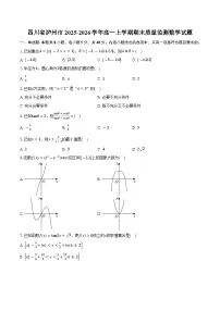 四川省泸州市2025-2026学年高一上学期期末质量监测数学试题