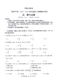 河南省环际大联考“逐梦计划”2024-2025学年高一下学期期中考试数学试题（无答案）