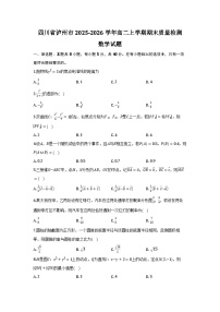 四川省泸州市2025-2026学年高二上学期期末质量检测数学试题及参考答案