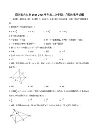 四川省内江市2025-2026学年高二上学期1月期末数学试卷（含答案）