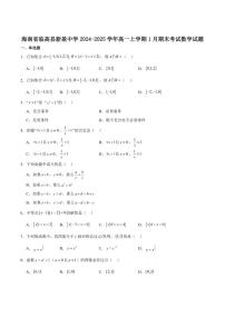 海南省临高县新盈中学2024-2025学年高一上学期期末考试数学试卷（含答案）