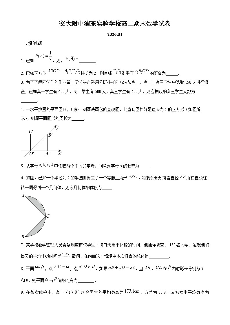 上海市浦东新区上海交通大学附属中学浦东实验高中2025-2026学年高二上学期期末考试数学试题(原卷版+解析版)第1页