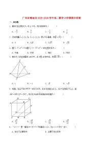 广东省清远市2025_2026学年高二数学上学期期中测试含解析