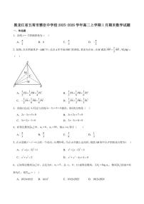 2025-2026学年黑龙江省哈尔滨市五常市雅臣中学高二上学期期末强化数学试卷（含解析）