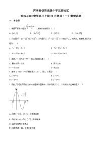 河南省信阳市信阳高级中学北湖校区2024-2025学年高二上学期12月月考数学试题（含答案）
