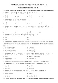 2026届安徽省县域高中合作共享联盟高三上学期1月期末质量检测（B卷）数学试卷（学生版）