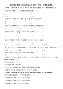 2026届湖北省孝感市高三上学期第一次统一考试数学试卷（学生版）