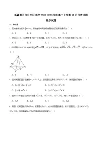 新疆多校2025-2026学年高二上学期11月月考数学试卷（Word版附解析）