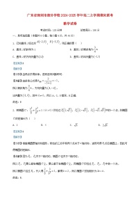 广东省深圳市部分学校2024_2025学年高二数学上学期期末联考试卷含解析