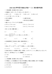 2025-2026学年四川省凉山州高一（上）期末数学试卷（含答案+解析）