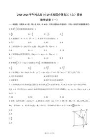 2025-2026学年河北省NT20名校联合体高三（上）质检数学（一）（1月份）试卷（含答案）