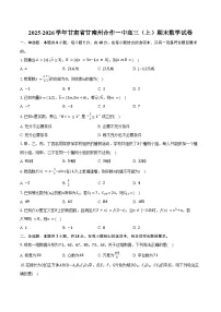 2025-2026学年甘肃省甘南州合作一中高三（上）期末数学试卷（含答案）