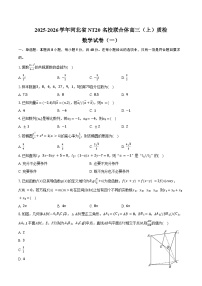 2025-2026学年河北省NT20名校联合体高三（上）质检数学试卷（一）（1月份）（含答案）