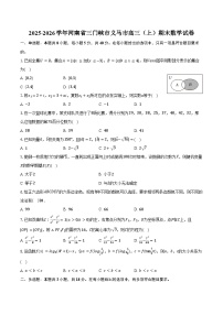 2025-2026学年河南省三门峡市义马市高三（上）期末数学试卷（含答案）