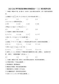 2025-2026学年陕西省渭南市澄城县高一（上）期末数学试卷（含解析）