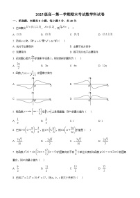 广东汕头市2025-2026学年高一上学期期末数学试题（原卷+解析）