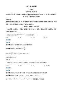 山东省德州市2024-2025学年高二上学期11月期中考试数学试题（含解析）