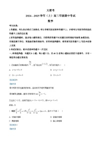 河南省部分学校大联考2024-2025学年高二上学期11月期中考试 数学试卷(含答案)