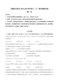 安徽省合肥市2025-2026学年高三（上）期末模拟数学试卷（含答案）