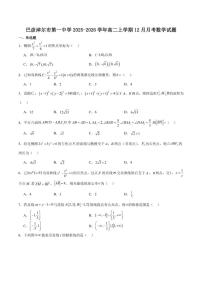 内蒙古巴彦淖尔市第一中学2025-2026学年高二上学期诊断检测（12月）数学试卷（含答案）