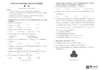 广西河池市2025-2026学年高三上学期期末学业水平质量检测数学试题