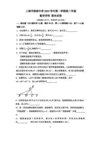 上海市桃浦中学2025-2026学年第一学期高二数学期末试卷