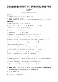 云南省宣威市第三中学2025-2026学年高三上学期期中考试数学试题（含答案）
