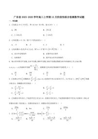 广东省2026届高三上学期12月阶段性联合检测数学试卷（含答案）