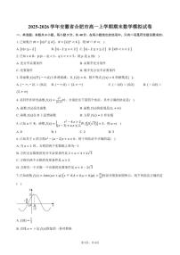 2025-2026学年安徽省合肥市高一上学期期末数学模拟试卷（含答案）