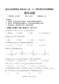 重庆市渝东九校2025-2026学年高一上学期期中联合性诊断测试数学试题(含答案)