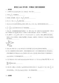 上海市普陀区2025-2026学年第一学期高三数学质量调研（一模）数学试卷_(含答案_)