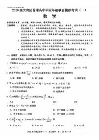 2026届广东省大湾区高三一模数学试题有答案
