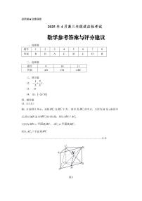 贵州2025年4月高三年级下学期适应性考试数学试卷（含答案）