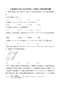 山东滨州市2025-2026学年高二上学期2月期末数学试卷（含答案）