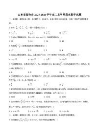 山东省烟台市2025-2026学年高二上学期期末数学试卷（含答案）
