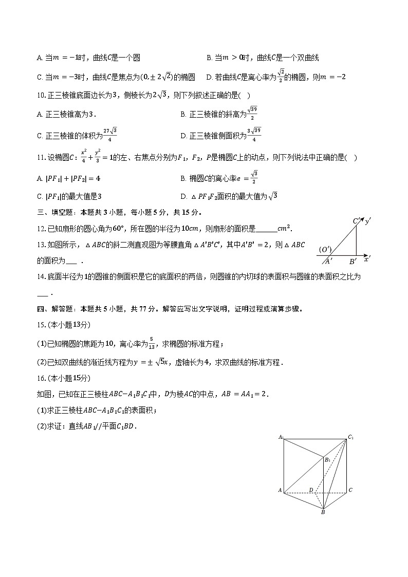 2025-2026学年甘肃省天水市张家川实验中学高三(上)期末数学试卷(含答案)第2页