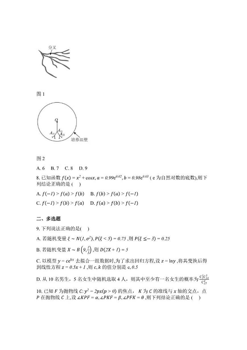 2025-2026学年湖南常德市汉寿县第一中学高三下学期2月阶段检测数学试题(含解析)第2页