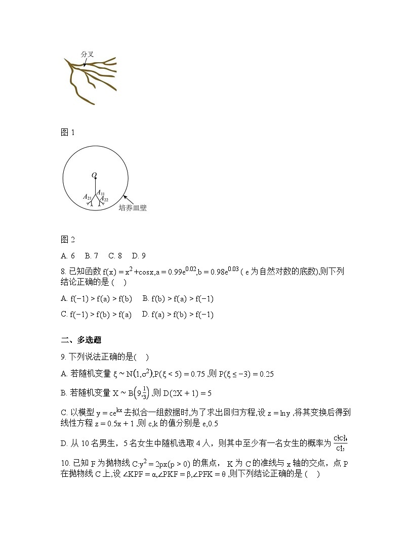 湖南汉寿县第一中学2025-2026学年高三下学期2月月考数学试题-含答案第2页