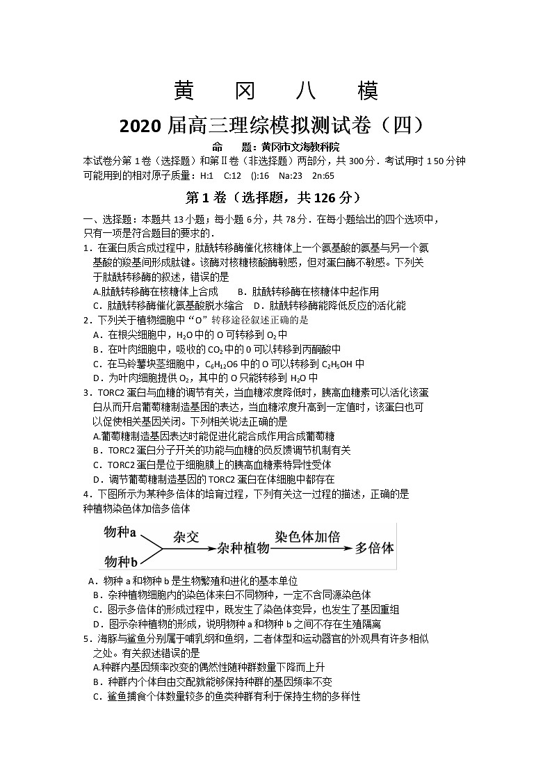 2020届湖北省黄冈八模高三模拟理科综合测试卷(四)第1页