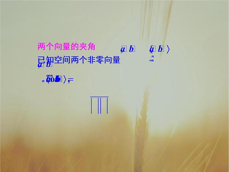 2019届二轮复习空间向量与空间角空间向量与空间距离课件(51张PPT)04