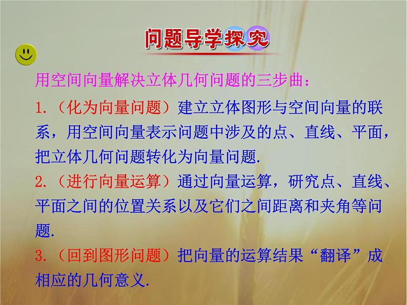 2019届二轮复习空间向量与空间角空间向量与空间距离课件(51张PPT)05