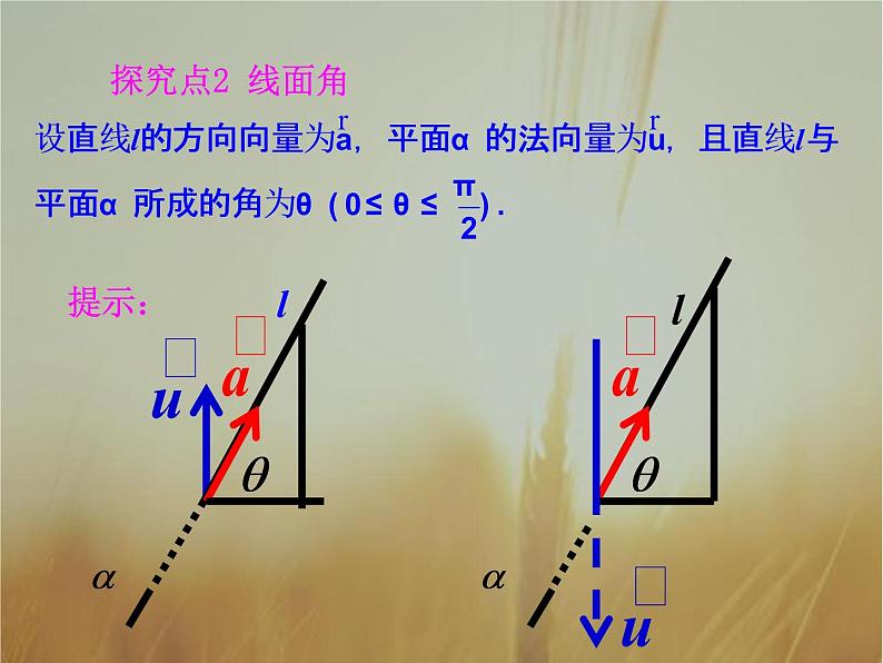 2019届二轮复习空间向量与空间角空间向量与空间距离课件(51张PPT)08