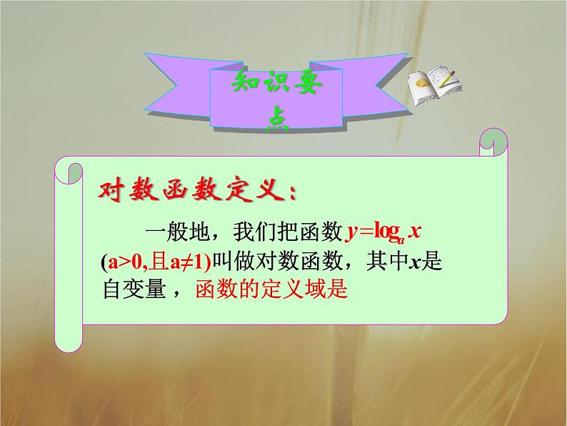2019届二轮复习对数函数及其性质课件(29张)(全国通用)03