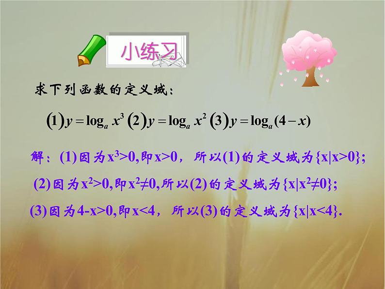 2019届二轮复习对数函数及其性质课件(29张)(全国通用)05