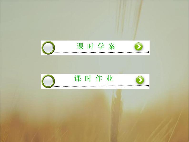 2019届二轮复习(理)对数的概念课件(36张)(全国通用)02