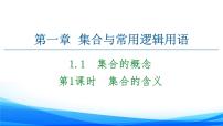 高中人教A版 (2019)第一章 集合与常用逻辑用语1.1 集合的概念教案配套ppt课件