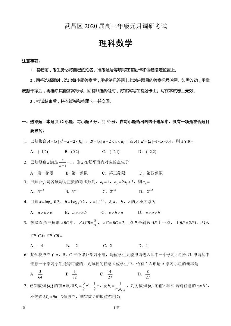 2020届湖北省武汉市武昌区高三元月调研考试数学(理)试题(PDF版)01