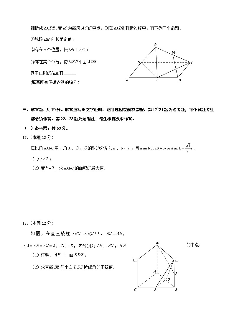 2020届湖北省武汉市武昌区高三元月调研考试数学(文)试题03