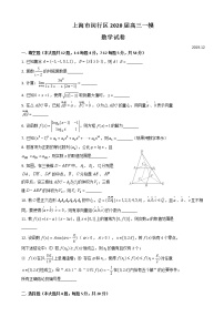 2020届上海市闵行区高三上学期质量调研考试（一模）数学试题