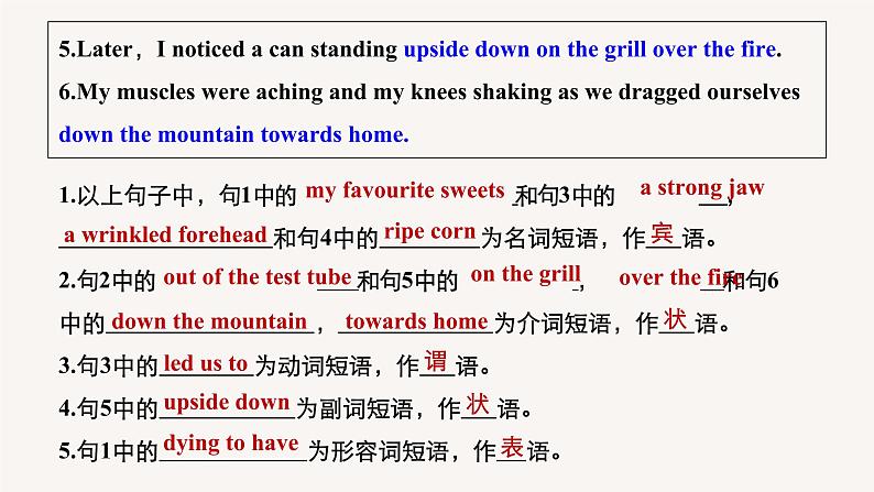 2020-2021学年高中英语人教版(2019)选择性必修第四册Unit4 Period Three Grammar—Review of phrases课件第4页